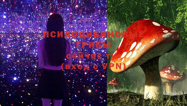 бутират Няндома