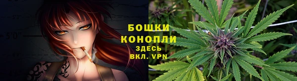 молекула духа Нязепетровск