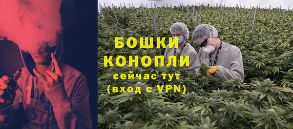 PSILOCYBIN Нягань