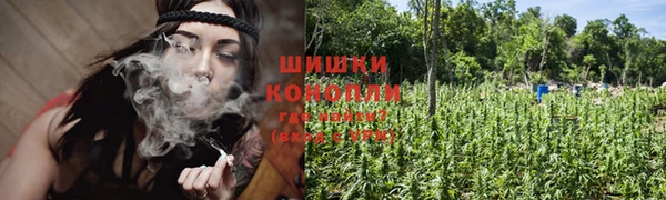 PSILOCYBIN Нягань