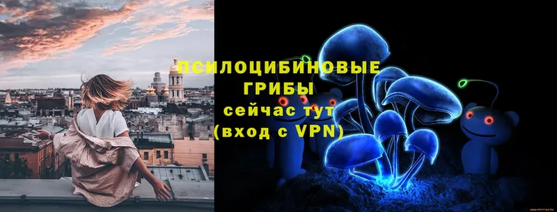 Галлюциногенные грибы мухоморы  Белая Холуница 